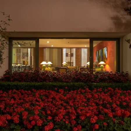 Arum Barut Collection 5* シダ