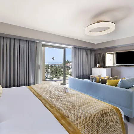 Arum Barut Collection シダ