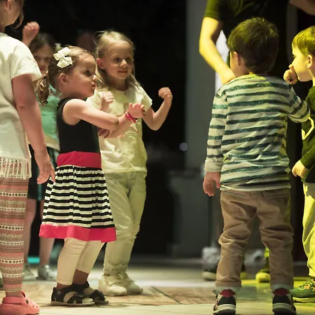 Arum Barut Collection シダ