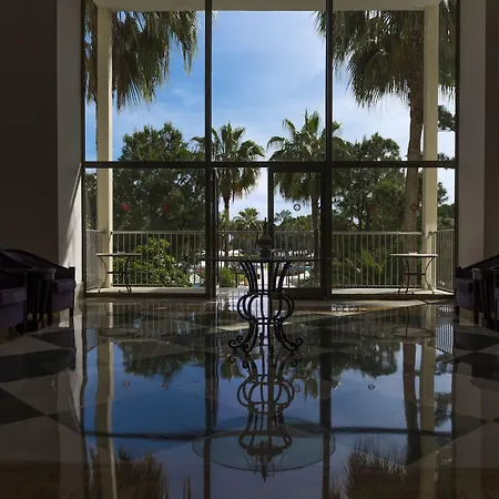 Arum Barut Collection シダ