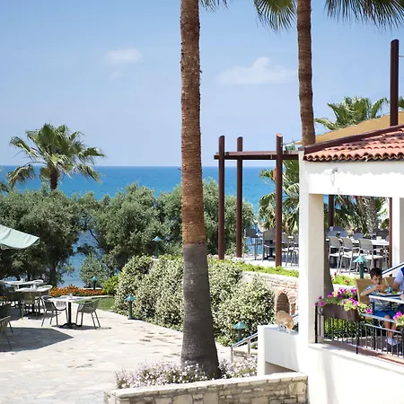 Arum Barut Collection