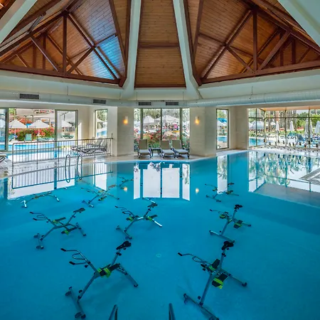 Arum Barut Collection 5*