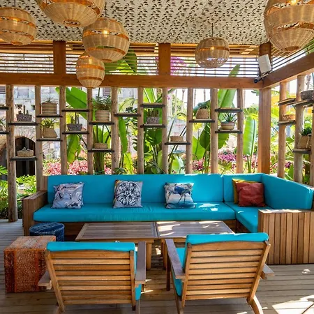Arum Barut Collection
