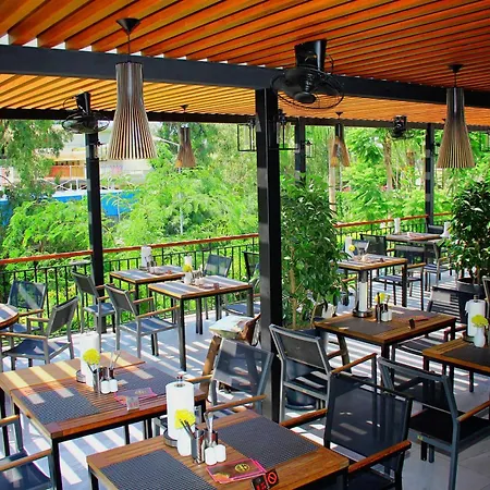 Arum Barut Collection 5*