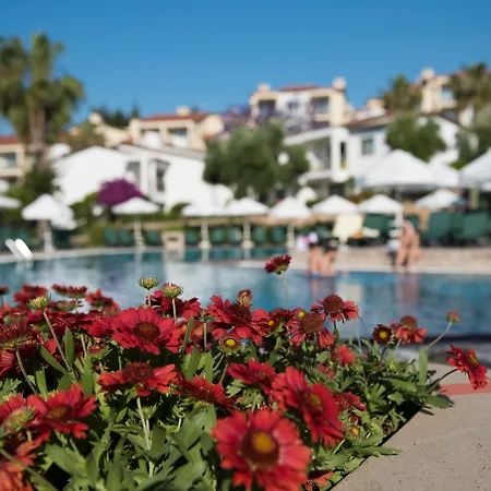 Arum Barut Collection 5* 시데